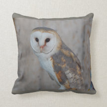 Fantasy Owl pillow