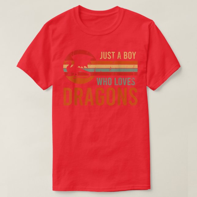 Fantasy Retro Gaming Roleplay Just a Boy Who Loves T-Shirt (Design Front)