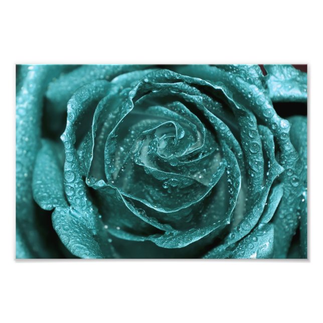 Fantasy Teal Rose Photo Print (Front)