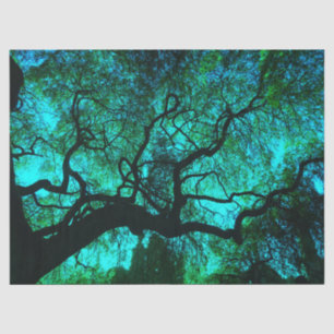 Fantasy Turquoise Tree Silhouette Tissue Paper