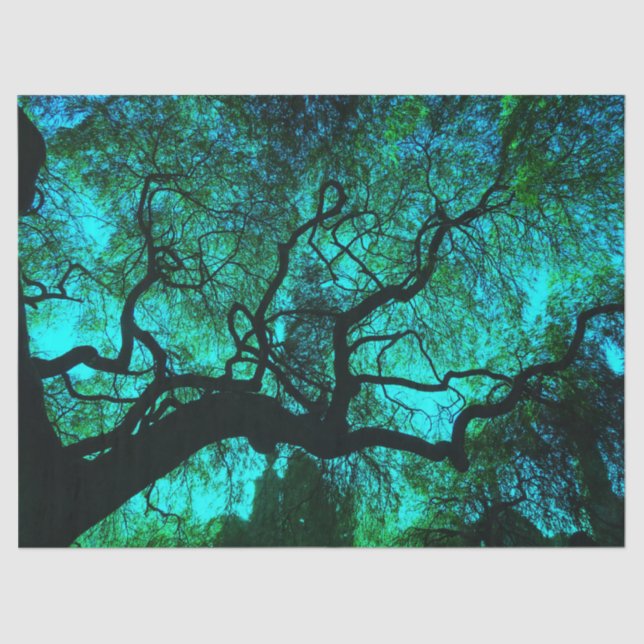 Fantasy Turquoise Tree Silhouette Tissue Paper (Front)