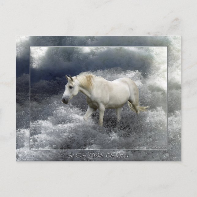 Fantasy White Horse & Ocean Surf Gifts Postcard (Front)