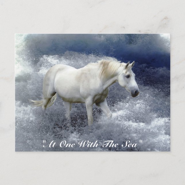 Fantasy White Horse & Ocean Surf  Gifts Postcard (Front)
