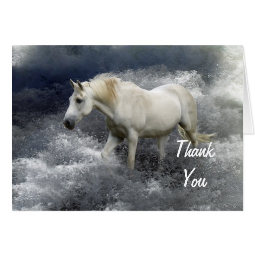 Image of Fantasy White Horse & Ocean Thank You Cards