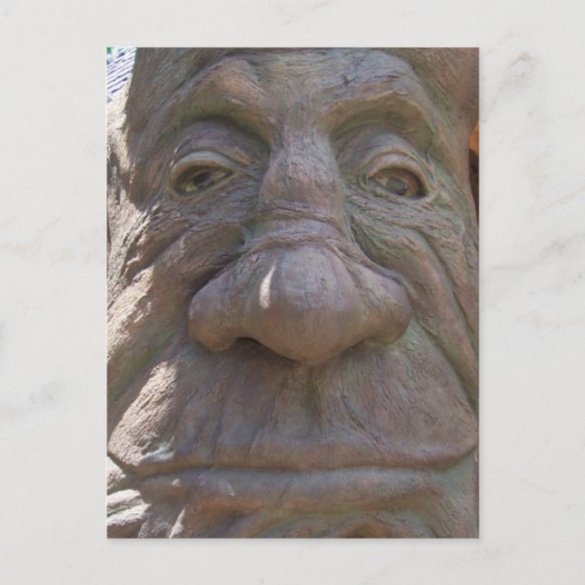 Fantasy Wood Carving Old Face in the Tree Postcard (Front)