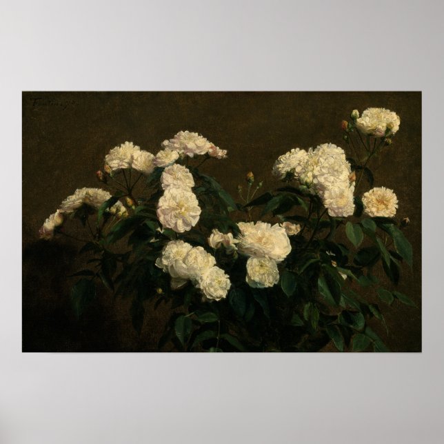 Fantin-Latour - Still Life Of White Roses Poster (Front)