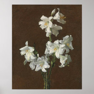 Fantin-Latour - White Lilies Poster