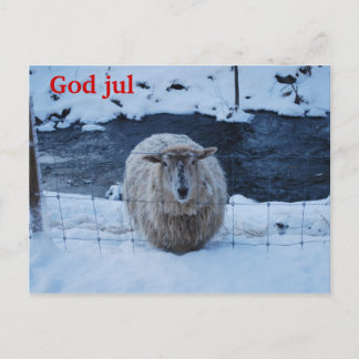 Fåret Fjun julkort Postcard