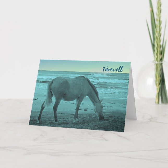 Farewell Good Bye Horse Near Lake Michigan Card (Front)