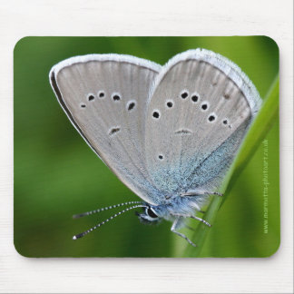 Farfalla Mousemat