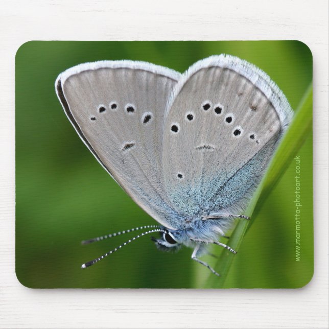 Farfalla Mousemat (Front)
