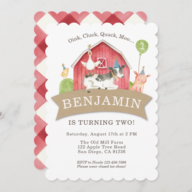 Farm Animal Birthday Party Red Check Boy or Girl Invitation (Front/Back)