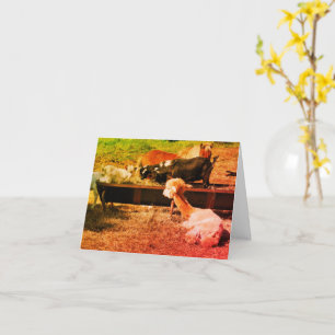 Farm Animal Friends Nature Art Note Card