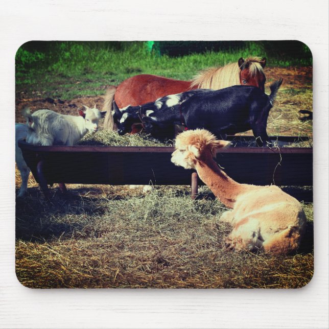 Farm Animal Friends Nature  Mouse Mat (Front)