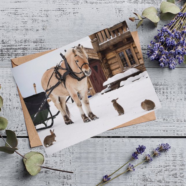 Farm animal talk horse and rabbits postcard (Creator Uploaded)