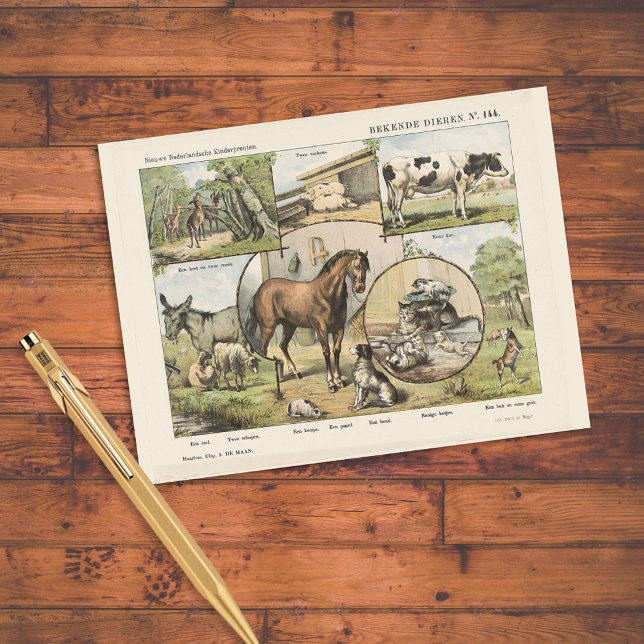 Farm Animal Vintage Dutch Artwork Postcard (Creator Uploaded)