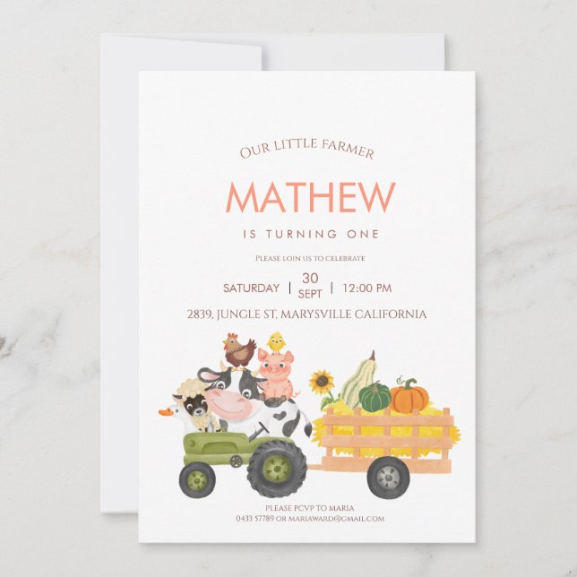 Farm animals Barnyard 1st 2nd Birthday Invitation (Front)