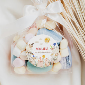 Farm Animals Birthday Banner Classic Round Sticker