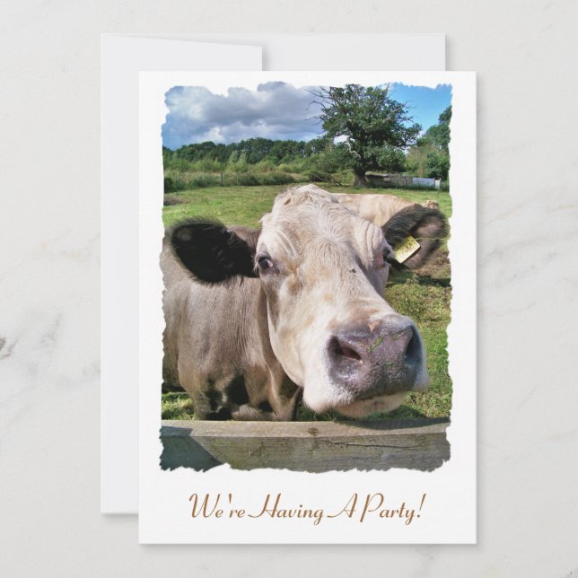 FARM ANIMALS, CUTE COW INVITATION (Front)