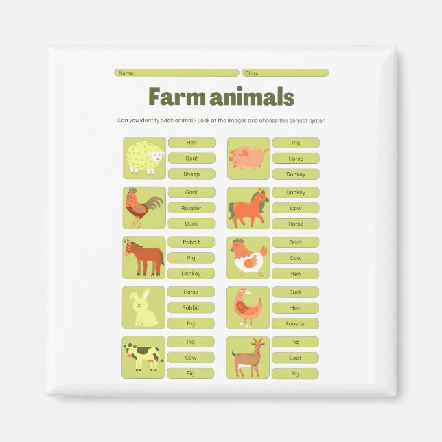 Farm Animals Identification Educational Worksheet Magnet (Front)