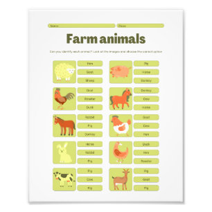 Farm Animals Identification Educational Worksheet Photo Print