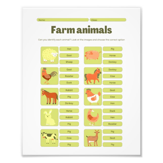 Farm Animals Identification Educational Worksheet Photo Print (Front)