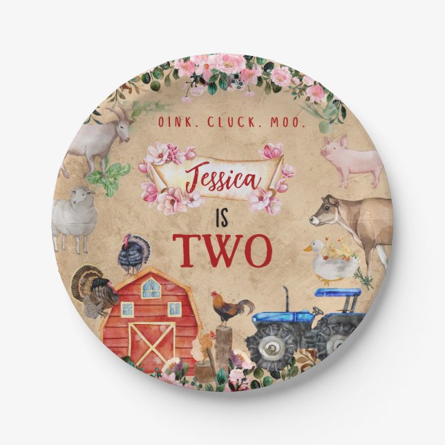 Farm Barnyard Animals Birthday Paper Plate (Front)