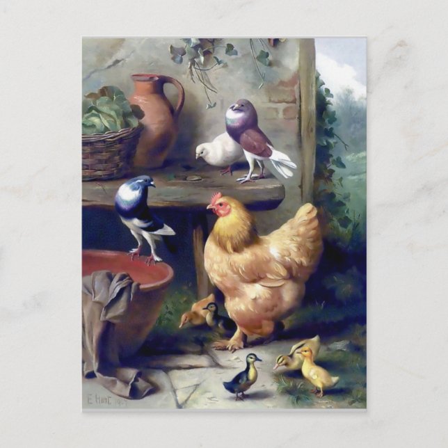 Farm birds hen ducklings pigeons painting postcard (Front)