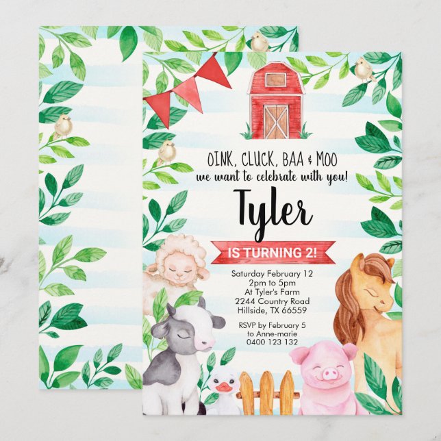 Farm Birthday Invitation Boy Farm Invitation (Front/Back)