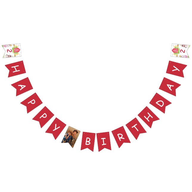 Farm Birthday Plaid Personalised Photo Bunting (All)
