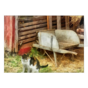 Farm Cat