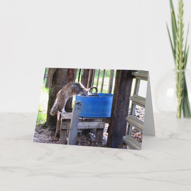 Farm Cat Greeting Card (Front)