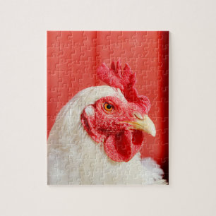 Farm Chicken Jigsaw Puzzle