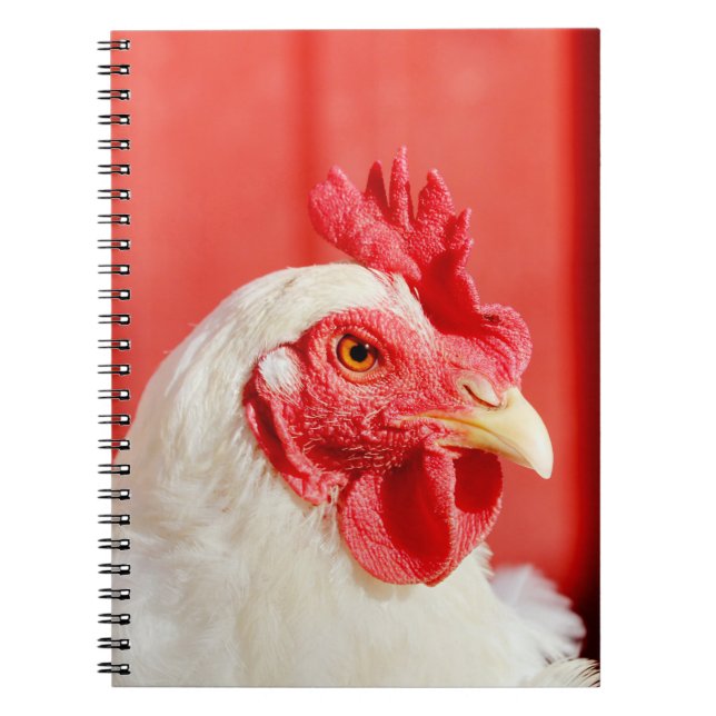Farm Chicken  Notebook (Front)