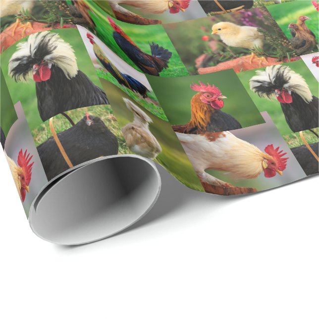 Farm Chickens Collage Wrapping Paper (Roll Corner)