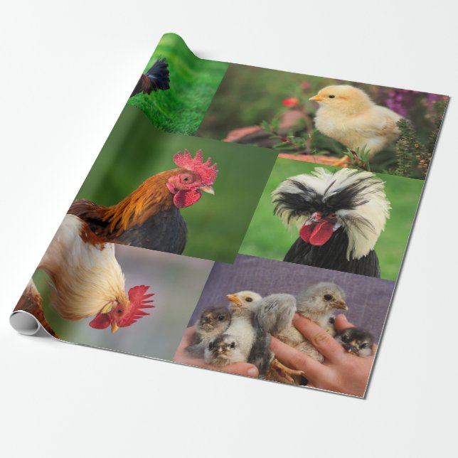 Farm Chickens Photo Collage Wrapping Paper (Unrolled)