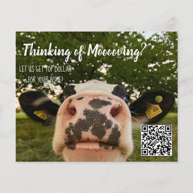 farm cow referral real estate marketing sell postc flyer (Front)