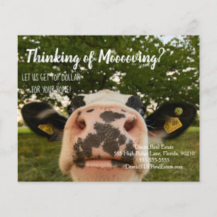 farm cow referral real estate marketing sell postc flyer