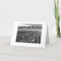 Farm, Farm Workers, Mt. Williamson 1943