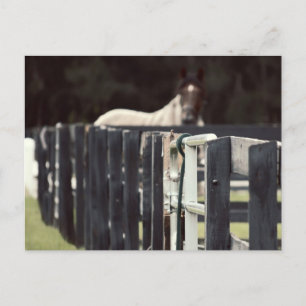 farm fence with horse behind sepia postcard