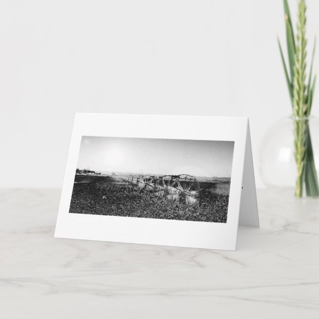 Farm Field Sympathy Card (Front)