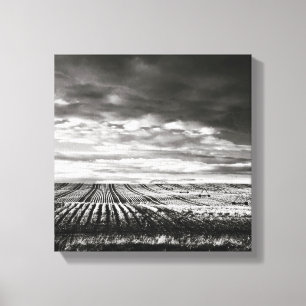farm fields canvas print