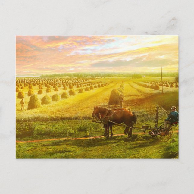 Farm - Finland - Field of hope 1899 Postcard (Front)