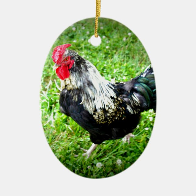 Farm Fowl Ceramic Tree Decoration (Front)