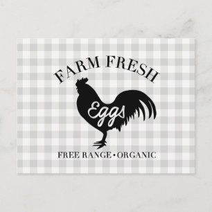Farm Fresh Chicken Country Gingham Postcard
