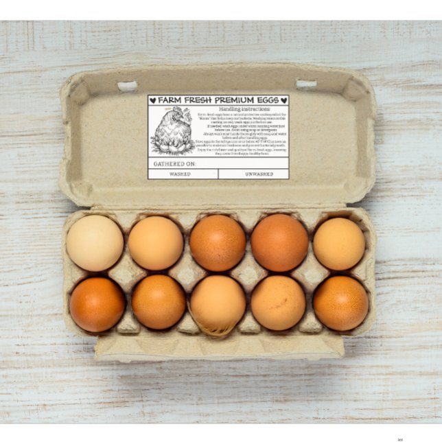 Farm Fresh egg handling and care card instructions Rectangular Sticker (farm fresh egg handling instruction card sticker )
