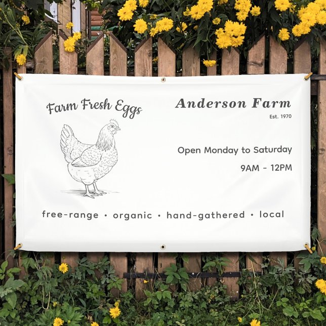 Farm Fresh Eggs Banner with Hen (Farm Fresh Eggs Banner)
