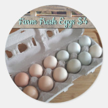 Farm Fresh Eggs
