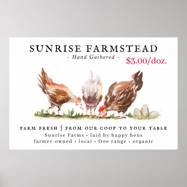 Farm Fresh Eggs For Sale Business Sign (Front)