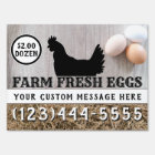 Farm Fresh Eggs For Sale Custom Two Sided Chicken